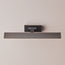 Smaller Pelton picture lights in bronze