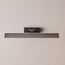 Medium Pelton picture lights in bronze