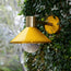 Agnes exterior wall sconce in Sand by the Novogratz