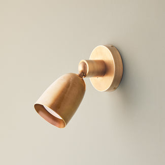 Zingo spot light in antiqued brass