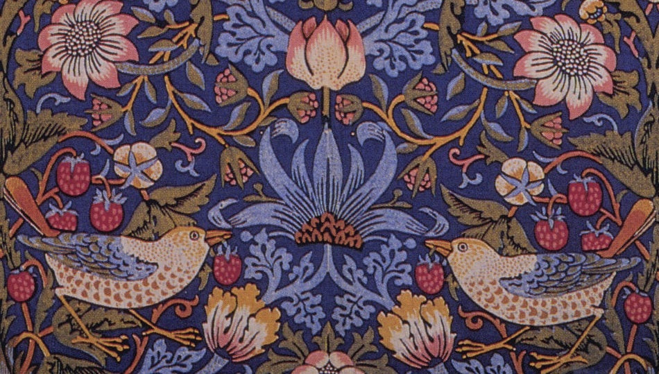 Nature in Pattern: Why Flowers, Leaves and Birds Endure