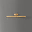 Regular Clyfford picture light in waxed antiqued brass