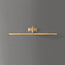 Large Clyfford picture light in waxed antiqued brass