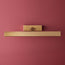 Medium Pelton picture lights in brass