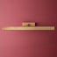 Larger Pelton picture lights in brass