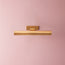 Smaller Seurat cordless picture light in antique brass