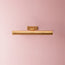 Regular Seurat cordless picture light in antique brass