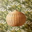 Bellamy pendant light in natural cane