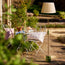 Holleder cordless standing lamp in Moss by the Novogratz