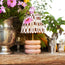 Holleder cordless table lamp in Blush by the Novogratz