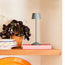 Wee Scoon cordless table lamp in shale