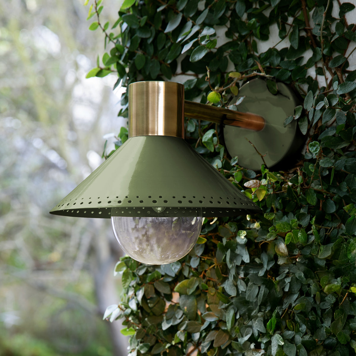 Agnes exterior wall sconce in Moss by the Novogratz
