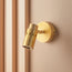 Single watson spot light in antiqued brass